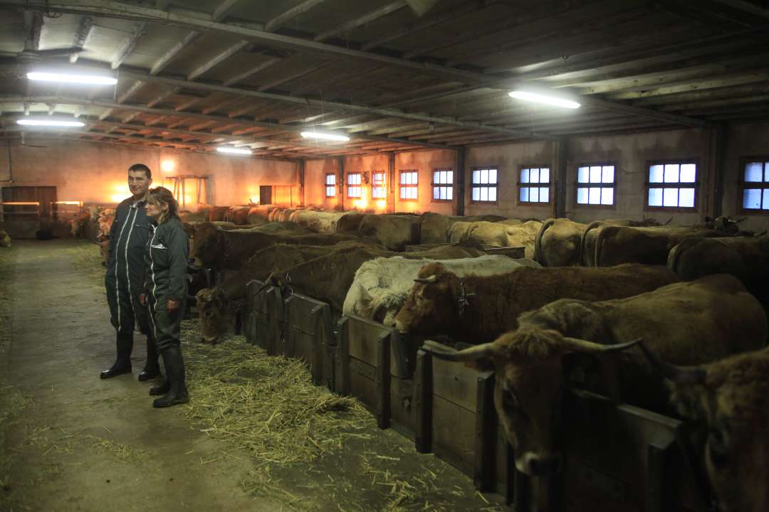 Aubrac Aubrac